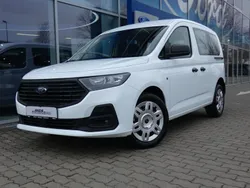 Frozen white Neu 2025 Ford Transit Trend Limousine | 27.990 € (Guter Preis)