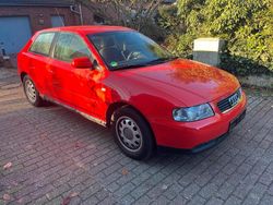 Rot Gebraucht 2002 Audi A3 Kleinwagen | 900 € (Guter Preis)