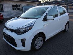Weiß Gebraucht 2019 Kia Picanto Edition 7 Kleinwagen | 10.650 € (Fairer Preis)