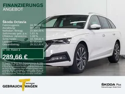 Candyweiss Gebraucht 2023 Skoda Octavia Style Kombi | 24.790 € (Guter Preis)