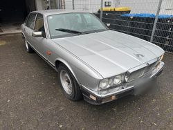 Silber Gebraucht 1984 Jaguar XJ6 Sovereign Limousine | 2.650 €
