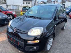 Colore esterno cinema schwarz Gebraucht 2015 Fiat Panda Easy Kleinwagen | 5.450 € (Guter Preis)