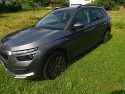 Grau Gebraucht 2024 Skoda Kamiq Tour SUV | 25.800 € (Fairer Preis)