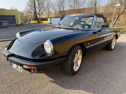 Alfa Romeo Spider