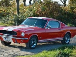 Rot Gebraucht 1965 Ford Mustang Fastback Coupé | 58.500 €