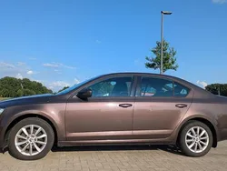 Braun Gebraucht 2014 Skoda Octavia Elegance Limousine | 6.400 €