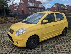 Gelb Gebraucht 2008 Kia Picanto Start Kleinwagen | 1.450 € (Guter Preis)