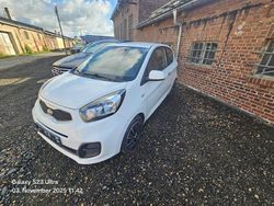 Weiß Gebraucht 2014 Kia Picanto Edition 7 Kleinwagen | 1.790 € (Etwas zu teuer)