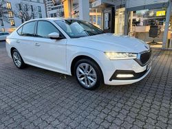Weiß Gebraucht 2023 Skoda Octavia Ambition Limousine | 22.700 € (Superpreis)