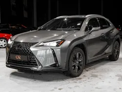 Grau Gebraucht 2019 Lexus UX 200 SUV | 21.300 €