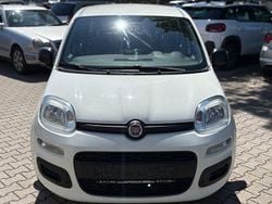 Weiß Gebraucht 2015 Fiat Panda Pop Kleinwagen | 5.999 € (Fairer Preis)