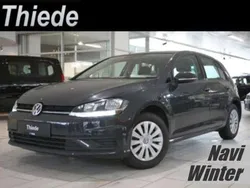 Grau Gebraucht 2019 VW Golf VII Trendline Kleinwagen | 12.620 € (Guter Preis)