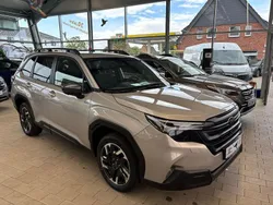 Gold Gebraucht 2025 Subaru Forester Exclusive+ SUV | 42.990 € (Fairer Preis)