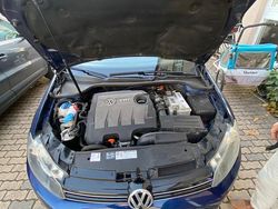 Blau Gebraucht 2010 VW Golf VI Kleinwagen | 6.500 € (Fairer Preis)