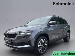 Grau Neu 2025 Skoda Karoq Tour SUV | 40.490 € (Fairer Preis)
