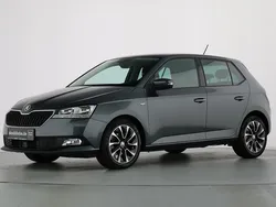 Grau Gebraucht 2021 Skoda Fabia Drive Kleinwagen | 14.990 € (Guter Preis)