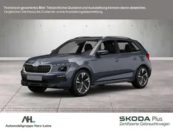 Graphitegrau Gebraucht 2025 Skoda Kamiq Tour SUV | 26.770 € (Etwas zu teuer)
