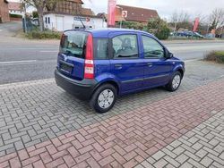 Blau Gebraucht 2009 Fiat Panda Kleinwagen | 3.500 € (Teuer)