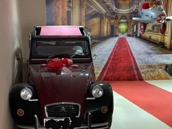 Rot Gebraucht 1981 Citroën 2CV Charleston Cabrio | 12.900 €