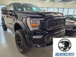 Blau Neu 2024 Ford Shelby SUV | 159.900 €