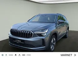 Grau Gebraucht 2024 Skoda Kodiaq Selection SUV | 42.990 € (Superpreis)