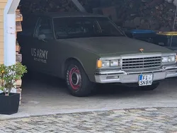 Grün Gebraucht 1985 Chevrolet Caprice Limousine | 9.500 €