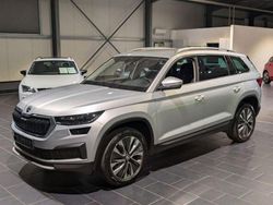 Silber Gebraucht 2022 Skoda Kodiaq Tour SUV | 32.900 € (Etwas zu teuer)
