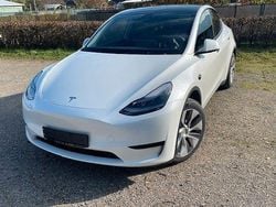 Weiß Gebraucht 2024 Tesla Model Y Standard Range SUV | 35.490 € (Guter Preis)