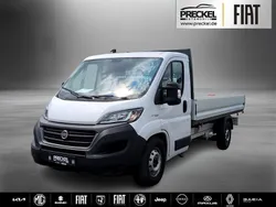 Weiss Gebraucht 2021 Fiat Ducato Van | 21.182 € (Guter Preis)