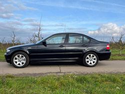 Schwarz Gebraucht 2002 BMW 318 Limousine | 4.800 € (Etwas zu teuer)
