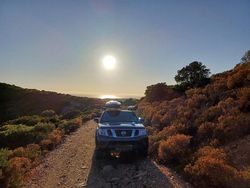 Grau Gebraucht 2011 Nissan Pathfinder SUV | 19.999 €