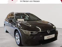 Urano gray Gebraucht 2022 VW Golf VIII Life Kombi | 12.790 € (Guter Preis)