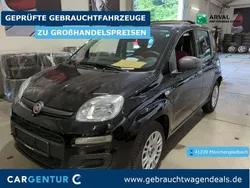 Colest601 colore esterno cinem Gebraucht 2020 Fiat Panda Easy Kleinwagen | 7.690 € (Guter Preis)