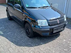 Schwarz Gebraucht 2012 Fiat Panda Kleinwagen | 3.480 € (Guter Preis)