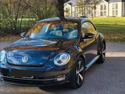 VW Beetle
