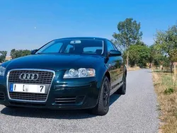 Grün Gebraucht 2005 Audi A3 Kleinwagen | 2.999 € (Etwas zu teuer)