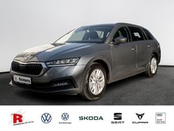 Grau Gebraucht 2022 Skoda Octavia Ambition Kombi | 20.240 € (Fairer Preis)