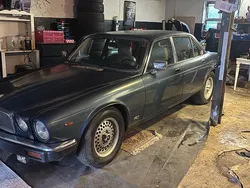 Blau Gebraucht 1983 Jaguar XJ12 Sovereign Limousine | 4.500 €