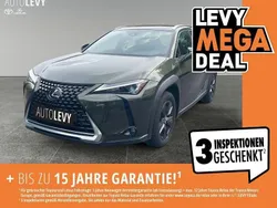 Grün Gebraucht 2023 Lexus UX 250h Executive Line SUV | 31.990 € (Fairer Preis)