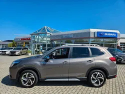 Grau Gebraucht 2022 Subaru Forester Platinum SUV | 33.990 € (Teuer)