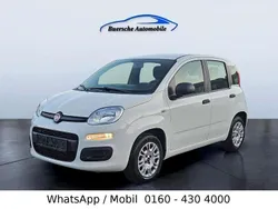 Weiß Gebraucht 2021 Fiat Panda Kleinwagen | 6.500 € (Superpreis)