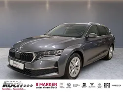 Grau Neu 2025 Skoda Octavia Selection Kombi | 34.990 € (Fairer Preis)