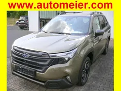 Autumn green Gebraucht 2025 Subaru Forester Exclusive+ SUV | 43.490 € (Fairer Preis)