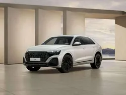 Vikunjabeige metallic Neu 2025 Audi Q8 SUV | 100.990 € (Fairer Preis)