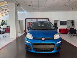 Blau Neu 2025 Fiat Panda Icon Kleinwagen | 16.500 € (Etwas zu teuer)