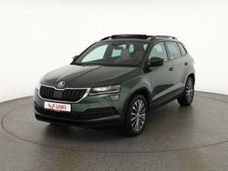 Grün Gebraucht 2019 Skoda Karoq Style SUV | 28.990 € (Etwas zu teuer)
