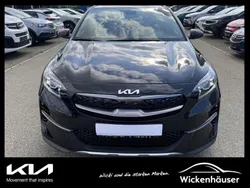 (wd) cararraweiss Neu 2024 Kia XCeed Spirit SUV | 25.990 € (Superpreis)