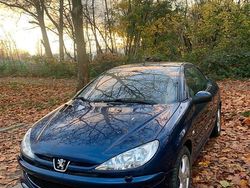 Blau Gebraucht 2004 Peugeot 206 Cabrio | 2.700 € (Teuer)