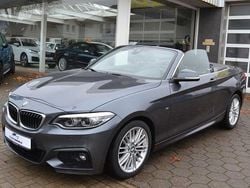 Grau Gebraucht 2018 BMW 230 M Sport Cabrio | 18.900 € (Guter Preis)