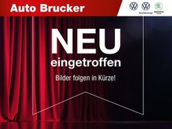 Grau Gebraucht 2021 VW Polo Life Kleinwagen | 15.920 € (Fairer Preis)